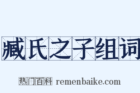臧氏之子组词是什么意思的图片